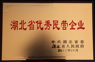 湖北省優秀民營企業